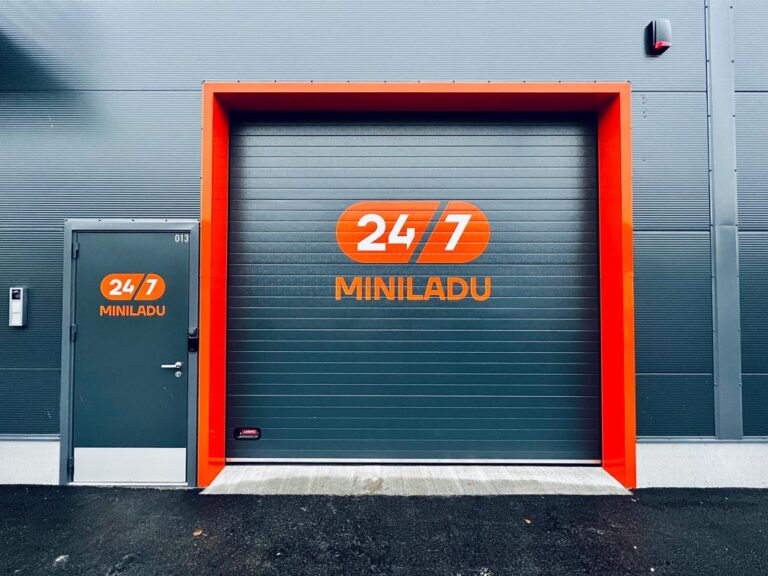 minilao sissesõit